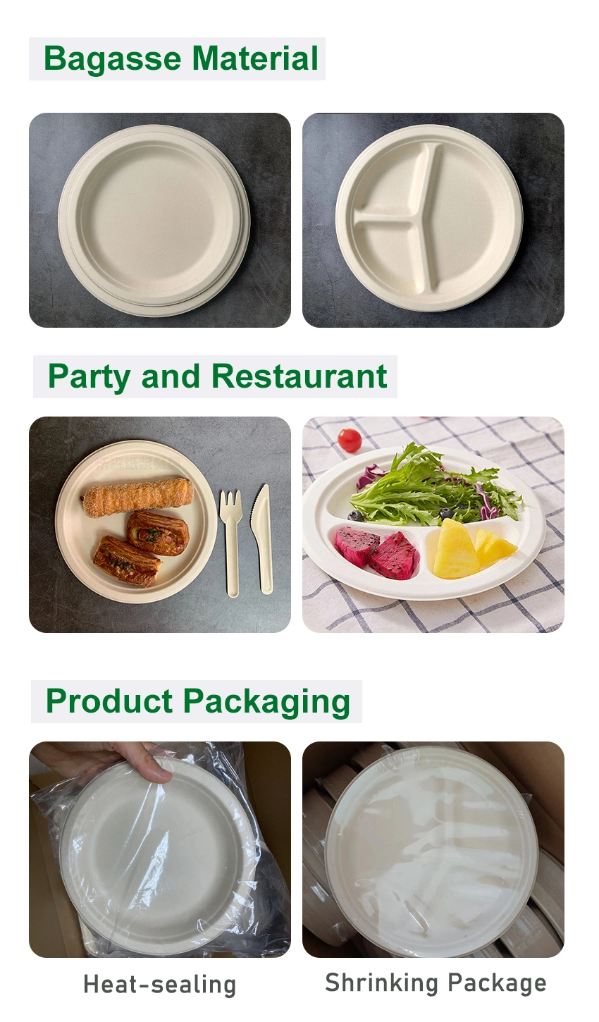 Eco-Friendly 9inch Sugarcane Bagasse Pulp Party Dinner Oil-Proof Food Cake Compostable 3 Compartments Biodegradable Packaging Disposable Paper Plate