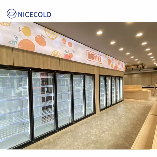 Industrial Refrigerator Blast Freezer Cooling Refrigerator Walkin Freezer Cooler Glass Door Solar Cold Storage
